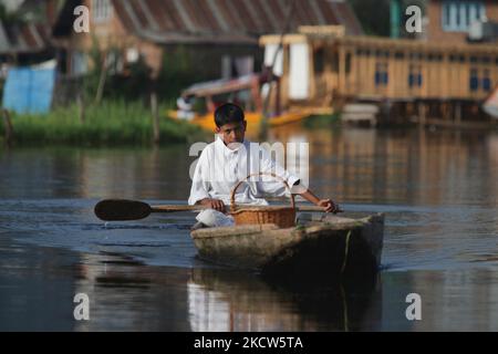 Le garçon de Kashmiri pagaie son petit bateau en bois le long du lac Dal, à Srinagar, au Cachemire, en Inde, sur 26 juin 2010. (Photo de Creative Touch Imaging Ltd./NurPhoto) Banque D'Images