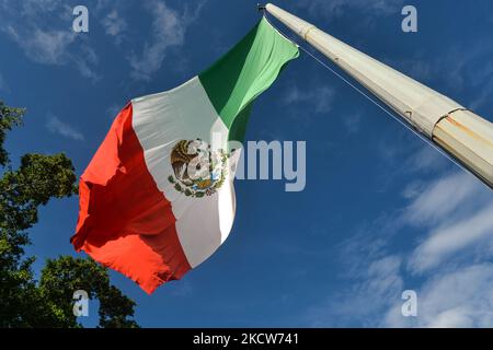 Le drapeau national du Mexique volant pendant la brève cérémonie d'El Día de la Revolucion (jour de la Révolution), une fête nationale commémorant le début de la Révolution mexicaine sur 20 novembre 1910. Les célébrations officielles de la Révolution ont été annulées en raison de la pandémie de Covid-19. La ville de Valladolid a été le site de la « première étincelle de la Révolution mexicaine », également connue sous le nom de Plan Dzelkoop, un soulèvement qui a commencé sur 4 juin 1910, par Maximiliano R. Bonilla et d'autres dirigeants du Centre électoral indépendant et du Front anti-réélectoral, Contre la dictature du président Porf Banque D'Images