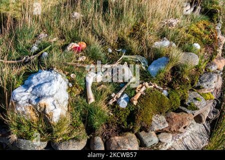 OS laissés au sanctuaire païen de Tigh Nam Bodach, ou Tigh Nam Cailliche près du Loch Lyon dans le Perthshire, en Écosse, qui contient des pierres de rivière sacrées Banque D'Images