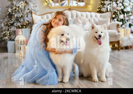 Belle fille dans une robe bleu clair avec deux chiens blancs Samoyed Banque D'Images