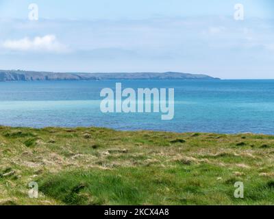 Herbe verte sur le rivage de la mer turquoise. Paysage de bord de mer. Banque D'Images
