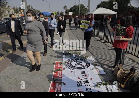 Des militants de l'organisation Direct action Everywhere Mexico, manifestent à l'extérieur de la Chambre des députés de Mexico contre l'exploitation dans l'industrie animale et en faveur de la loi Rose lors de l'urgence sanitaire de la COVID-19 dans la capitale. (Photo de Gerardo Vieyra/NurPhoto) Banque D'Images