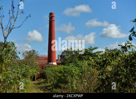 Grande cheminée de San Eduardo Hacienda (ferme de Saint Edward), ferme de henequen à Dzemul, près de Telchac Pueblo. Mercredi, 01 décembre 2021, à Motul, Yucatan, Mexique. (Photo par Artur Widak/NurPhoto) Banque D'Images