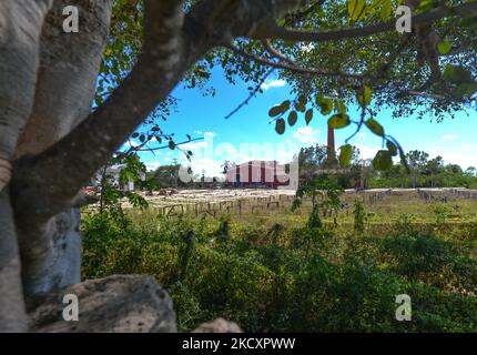 San Eduardo Hacienda (ferme de Saint Edward), ferme de henequen à Dzemul, près de Telchac Pueblo. Mercredi, 01 décembre 2021, à Motul, Yucatan, Mexique. (Photo par Artur Widak/NurPhoto) Banque D'Images