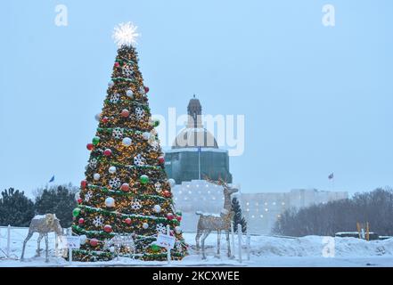 Arbre de Noël et décorations vus à l'extérieur de l'Assemblée législative de l'Alberta, à Edmonton, vu au crépuscule. Lundi, 13 décembre 2021, à Edmonton, Alberta, Canada. (Photo par Artur Widak/NurPhoto) Banque D'Images