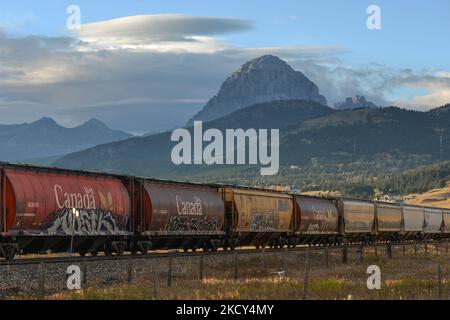 Un train de marchandises passant par la municipalité de Crowsnest Pass. Le dimanche 03 octobre 2021, à Pincher Creek, Alberta, Canada. (Photo par Artur Widak/NurPhoto) Banque D'Images