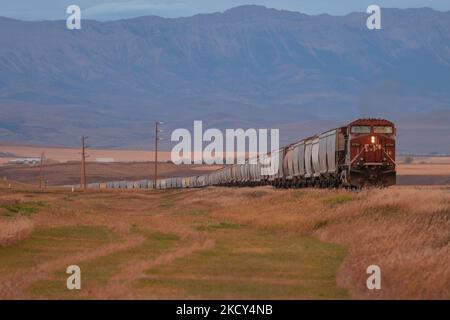 Un train de marchandises passant près de la ville de Pincher Creek. Le dimanche 03 octobre 2021, à Pincher Creek, Alberta, Canada. (Photo par Artur Widak/NurPhoto) Banque D'Images