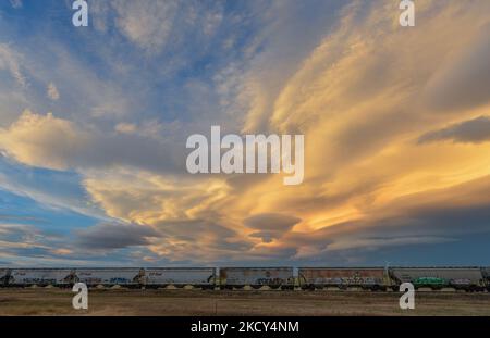 Un train de marchandises passant près de la ville de Pincher Creek. Le dimanche 03 octobre 2021, à Pincher Creek, Alberta, Canada. (Photo par Artur Widak/NurPhoto) Banque D'Images