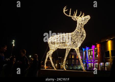 Un gros cerf est l'une des huit sculptures légères placées dans la ville de Nimègue pour encourager les gens pendant le plus dur confinement imposé le même après-midi, sur 18 décembre, Nimègue. (Photo par Romy Arroyo Fernandez/NurPhoto) Banque D'Images