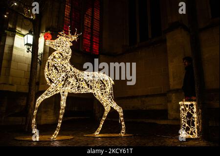 Un homme appuie sur un bouton qui fait rougonner le bruit de Rudolph, dans le cadre d'une des huit sculptures légères placées dans la ville de Nimègue pour encourager les gens pendant le plus dur confinement imposé le même après-midi, sur 18 décembre, Nimègue. (Photo par Romy Arroyo Fernandez/NurPhoto) Banque D'Images