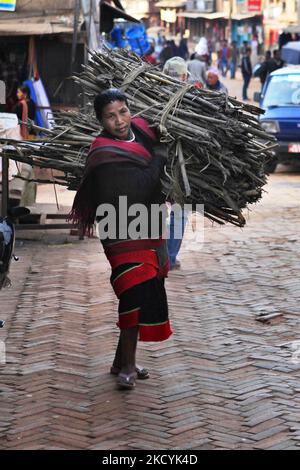 La femme de Newari porte un gros faisceau de bois le long de la route dans l'ancienne ville de Bhaktapur au Népal. Elle utilisera ce bois pour cuisiner et chauffer sa maison. De nombreuses maisons au Népal utilisent encore des méthodes primitives pour le chauffage et la cuisson comme les poêles à bois ou les fours et les feux de yak ou de vache pour la chaleur. (Photo de Creative Touch Imaging Ltd./NurPhoto) Banque D'Images