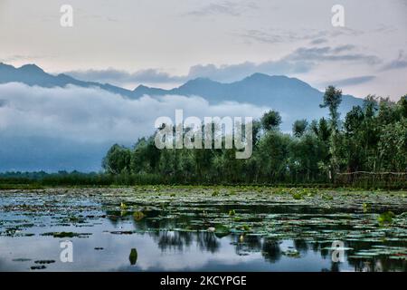 Lac Nigeen (lac Nageen) à Srinagar, Cachemire, Inde, on 26 juin 2010. (Photo de Creative Touch Imaging Ltd./NurPhoto) Banque D'Images