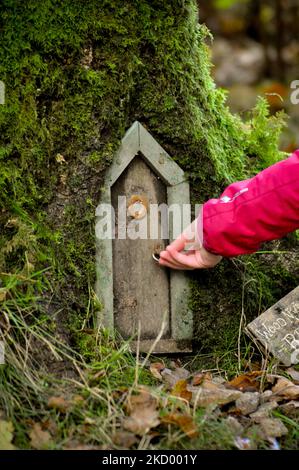 Maisons de fées cachées et portes dans les bois - Brodick Gardens, île d'Arran, Écosse Banque D'Images