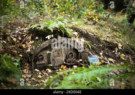 Maisons de fées cachées et portes dans les bois - Brodick Gardens, île d'Arran, Écosse Banque D'Images