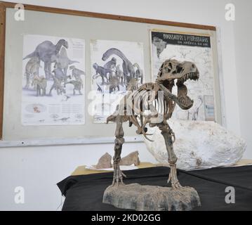 Marilia, São Paulo, Brésil - 27 octobre 2022 : intérieur du musée de paléontologie dans la ville de Marília, São Paulo, Brésil, récemment ouvert dans le n Banque D'Images