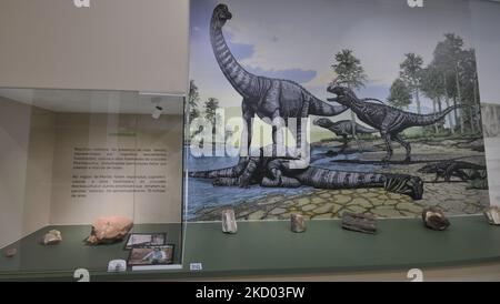 Marilia, São Paulo, Brésil - 27 octobre 2022 : intérieur du musée de Palénologie de la ville de Marília, São Paulo, Brésil, récemment ouvert dans la nouvelle Banque D'Images