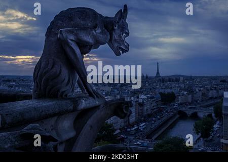 Gargoyle de nuit pendant la crise énergétique, Paris, France. Interdiction complète de la ville en raison du gaz et de l'électricité coûteux en Europe. Vue sur la statue sombre et s. Banque D'Images