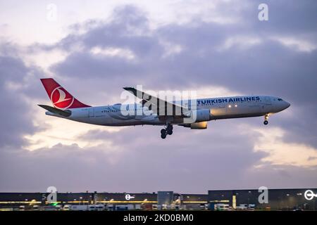 Un Airbus A330 de Turkish Airlines, tel qu'il a été vu, atterrit à l'aéroport d'Amsterdam Schiphol AMS dans la soirée. L'arrivée d'Istanbul à la capitale néerlandaise Airbus A330-300 avion a l'enregistrement TC-JOK. Turkish Airlines - Türk Hava Yolar ? Est la compagnie aérienne nationale de la Turquie et membre du réseau du groupe d'aviation Star Alliance. Selon l'IATA, la variante Omicron de la pandémie du coronavirus Covid-19 diminue la vente de billets d'avion. Amsterdam, pays-Bas sur 5 janvier 2022 (photo de Nicolas Economou/NurPhoto) Banque D'Images