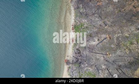 Image de haut en bas de la zone brûlée à la plage. Le drone capture une vue aérienne des séquelles des incendies de forêt de l'île d'Evia, l'une des plus grandes catastrophes environnementales du pays. Les scientifiques affirment que les feux de forêt ont été causés par le changement climatique après une longue période de temps sec avec des températures records dans le sud de l'Europe et la région méditerranéenne, causant les feux de forêt. Les populations locales sont dévastées car l'économie a été touchée par le feu, il était fortement lié à la nature et la forêt pour la production de miel ou de résine mais aussi pour le tourisme comme la région était une destination naturelle populaire Banque D'Images