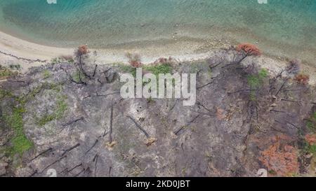 Image de haut en bas de la zone brûlée à la plage. Le drone capture une vue aérienne des séquelles des incendies de forêt de l'île d'Evia, l'une des plus grandes catastrophes environnementales du pays. Les scientifiques affirment que les feux de forêt ont été causés par le changement climatique après une longue période de temps sec avec des températures records dans le sud de l'Europe et la région méditerranéenne, causant les feux de forêt. Les populations locales sont dévastées car l'économie a été touchée par le feu, il était fortement lié à la nature et la forêt pour la production de miel ou de résine mais aussi pour le tourisme comme la région était une destination naturelle populaire Banque D'Images