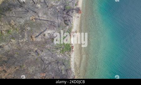 Image de haut en bas de la zone brûlée à la plage. Le drone capture une vue aérienne des séquelles des incendies de forêt de l'île d'Evia, l'une des plus grandes catastrophes environnementales du pays. Les scientifiques affirment que les feux de forêt ont été causés par le changement climatique après une longue période de temps sec avec des températures records dans le sud de l'Europe et la région méditerranéenne, causant les feux de forêt. Les populations locales sont dévastées car l'économie a été touchée par le feu, il était fortement lié à la nature et la forêt pour la production de miel ou de résine mais aussi pour le tourisme comme la région était une destination naturelle populaire Banque D'Images