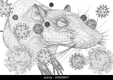 Symbolbild: CGI-Visualizierung: Coronavirus, Mutationen Delta Omicron: Aufgrund der zahlreichen Mutationen in der Oberflaechenstruktur der Omicron Var Banque D'Images