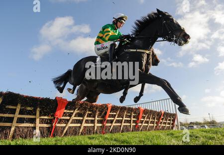 Belfast, Royaume-Uni. 05th novembre 2022. Cougar et le jockey Mark Walsh remportent l'obstacle Value Cabs 3-Y-O pour l'entraîneur Padraig Roche et le propriétaire M. J. P. McManus à l'hippodrome Down Royal. Crédit : JTW Equine Images/Alamy Live News Banque D'Images