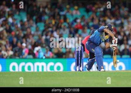 Sydney, Australie. 05th novembre 2022. 5th novembre, Sydney Cricket Ground, Sydney Australie: T20 International Cricket, Sri Lanka contre l'Angleterre; Bhanuka Rajapaksa du Sri Lanka fait un tir défensif Credit: Action plus Sports Images/Alay Live News Banque D'Images