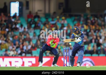 Sydney, Australie. 05th novembre 2022. 5th novembre, Sydney Cricket Ground, Sydney Australie: T20 International Cricket, Sri Lanka contre l'Angleterre; Bhanuka Rajapaksa du Sri Lanka frappe un point de limite crédit: Action plus Sports Images/Alamy Live News Banque D'Images