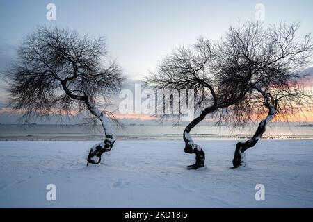 Scènes de neige à Istanbul sur 25 janvier 2022. (Photo par Erhan Demirtas/NurPhoto) Banque D'Images