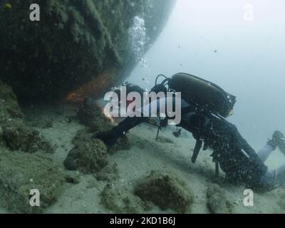 Plongée sous-marine sur épave en Grèce autour du navire à moteur Kali Tychi (anciennement Vincenzo Dormio, Cesare MaryBirch ). Le cargo a coulé près du port d'Agia Kyriaki le 25 juillet 1975. Les plongeurs sont vus avec des poissons et la vie marine, autour et dans le navire dans les eaux de la mer Égée. L'emplacement de l'épave est dans le petit village de pêcheurs Agia Kiriaki, Triker dans le sud Pélion, une destination de vacances populaire avec des petites tavernes traditionnelles, une plage magnifique et de belles montagnes. Agia Kiriaki, Grèce, le 17 septembre 2021 (photo de Nicolas Economou/NurPhoto) Banque D'Images