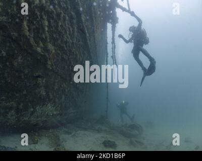 Plongée sous-marine sur épave en Grèce autour du navire à moteur Kali Tychi (anciennement Vincenzo Dormio, Cesare MaryBirch ). Le cargo a coulé près du port d'Agia Kyriaki le 25 juillet 1975. Les plongeurs sont vus avec des poissons et la vie marine, autour et dans le navire dans les eaux de la mer Égée. L'emplacement de l'épave est dans le petit village de pêcheurs Agia Kiriaki, Triker dans le sud Pélion, une destination de vacances populaire avec des petites tavernes traditionnelles, une plage magnifique et de belles montagnes. Agia Kiriaki, Grèce, le 17 septembre 2021 (photo de Nicolas Economou/NurPhoto) Banque D'Images