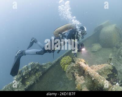 Plongée sous-marine sur épave en Grèce autour du navire à moteur Kali Tychi (anciennement Vincenzo Dormio, Cesare MaryBirch ). Le cargo a coulé près du port d'Agia Kyriaki le 25 juillet 1975. Les plongeurs sont vus avec des poissons et la vie marine, autour et dans le navire dans les eaux de la mer Égée. L'emplacement de l'épave est dans le petit village de pêcheurs Agia Kiriaki, Triker dans le sud Pélion, une destination de vacances populaire avec des petites tavernes traditionnelles, une plage magnifique et de belles montagnes. Agia Kiriaki, Grèce, le 17 septembre 2021 (photo de Nicolas Economou/NurPhoto) Banque D'Images