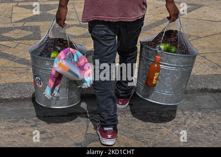 Un vendeur de rue transporte deux seaux pleins de Chapulines, sauterelles séchées et rôties, une spécialité mexicaine préhispanique. Jeudi, 27 janvier 2022, à San Cristobal de las Casas, Chiapas, Mexique. (Photo par Artur Widak/NurPhoto) Banque D'Images