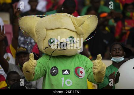 Fans au cours du Cameroun contre la Gambie, coupe africaine des nations, au stade de Japoma sur 29 janvier 2022. (Photo par Ulrik Pedersen/NurPhoto) Banque D'Images