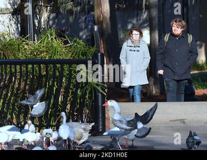 30 janvier 2022 - Orlando, Floride, États-Unis - les gens sont habillés pour le temps froid tout en marchant au parc du lac Eola sur 30 janvier 2022 dans le centre-ville d'Orlando, Floride. La Floride a vu son temps le plus froid en une décennie aujourd'hui, car les températures dans de nombreuses parties de l'État étaient proches ou en dessous de zéro. (Photo de Paul Hennessy/NurPhoto) Banque D'Images