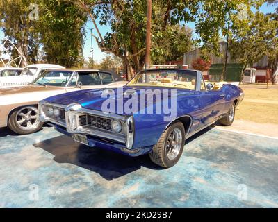 Vieux sport bleu 1969 Pontiac GTO deux portes décapotable dans un parc. Vue avant. Nature, arbres. Voiture de course classique de luxe. Banque D'Images