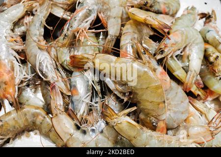 Crevettes tigrées noires, dans un supermarché à Cracovie, en Pologne, sur 9 février 2022. (Photo de Beata Zawrzel/NurPhoto) Banque D'Images