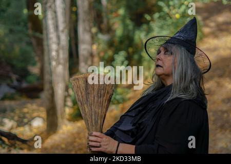 gros plan de sorcière à cheveux blancs avec chapeau en profil dans la forêt avec son balai Banque D'Images