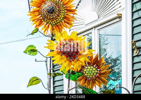 Tournesols de verre lumineux devant la fenêtre de maison d'époque avec foyer sélectif Banque D'Images