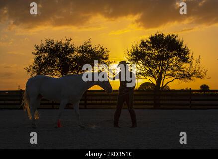 Jaylen Bender dirigeant Larry pendant une séance de thérapie équine à cheval pour la guérison mercredi, 16 février 2022 à Punta Gorda, Floride. Leur mission est de promouvoir l'autonomisation de la croissance personnelle, de l'espoir et de la guérison par l'inspiration d'un cheval. (Photo de Thomas O'Neill/NurPhoto) Banque D'Images