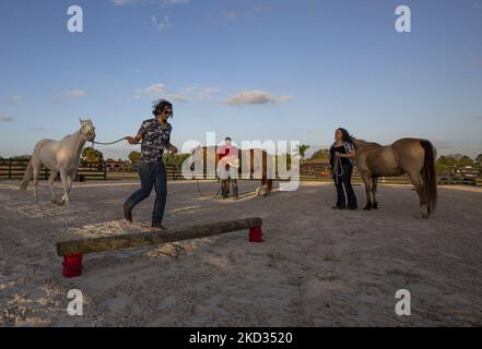 Jaylen Bender dirigeant Larry pendant une séance de thérapie équine à cheval pour la guérison mercredi, 16 février 2022 à Punta Gorda, Floride. Leur mission est de promouvoir l'autonomisation de la croissance personnelle, de l'espoir et de la guérison par l'inspiration d'un cheval. (Photo de Thomas O'Neill/NurPhoto) Banque D'Images