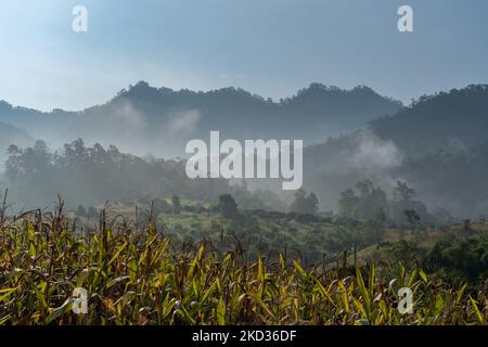 Misty matin paysage de montagne pittoresque dans la belle vallée rurale près de Chiang Dao, Chiang Mai, Thaïlande Banque D'Images