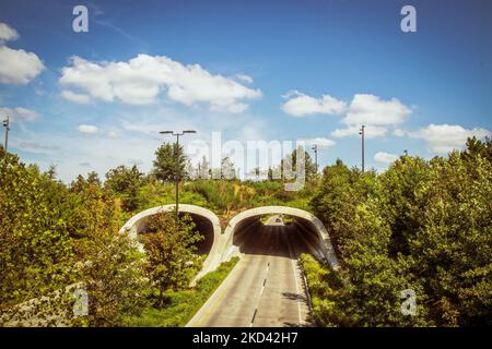 Pont terrestre au-dessus de l'autoroute à quatre voies en été entouré d'arbres verts sous un joli ciel bleu nuageux Banque D'Images