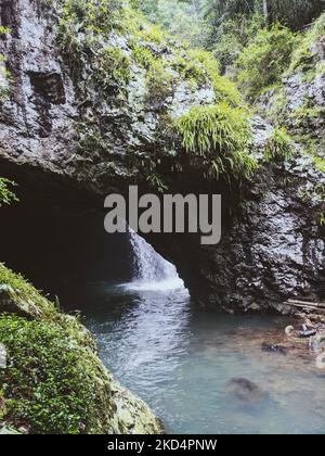 Pont naturel pittoresque dans le parc national de Springbrook, Queensland, Australie Banque D'Images