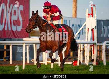 Belfast, Royaume-Uni. 5th novembre 2022.. Roi de Kingsfield et M. Jamie Codd prennent la course Ladbrokes Pro/Am Flat pour l'entraîneur Gordon Elliott et les propriétaires Gigginstown House Stud. Banque D'Images