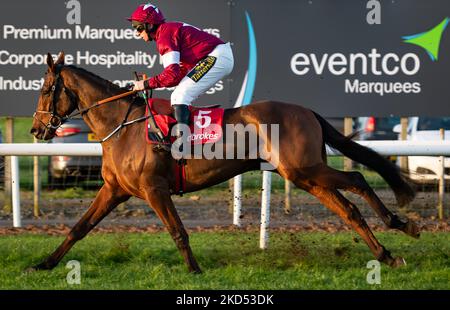 Belfast, Royaume-Uni. 5th novembre 2022.. Roi de Kingsfield et M. Jamie Codd prennent la course Ladbrokes Pro/Am Flat pour l'entraîneur Gordon Elliott et les propriétaires Gigginstown House Stud. Banque D'Images