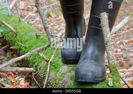 Un homme en bottes de caoutchouc marche au-dessus d'un tronc d'arbre recouvert de mousse. De bonnes bottes en caoutchouc pour randonneurs peuvent facilement faire face au stress et garder vos pieds au sec. Banque D'Images