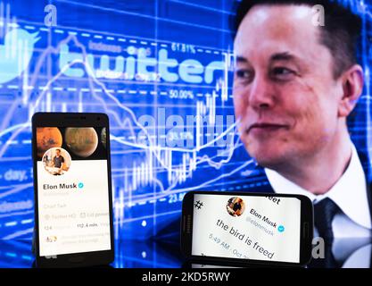 Le compte Twitter d'Elon Musk affiché à l'écran est illustré. À Bruxelles - Belgique, le 31 octobre 2022. Jonathan Raa Banque D'Images