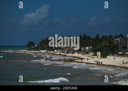 Les algues Sargassum s'accumulent sur les plages de Playa del Carmen. Le mardi 22 mars 2022, à Playa Del Carmen, Quintana Roo, Mexique. (Photo par Artur Widak/NurPhoto) Banque D'Images